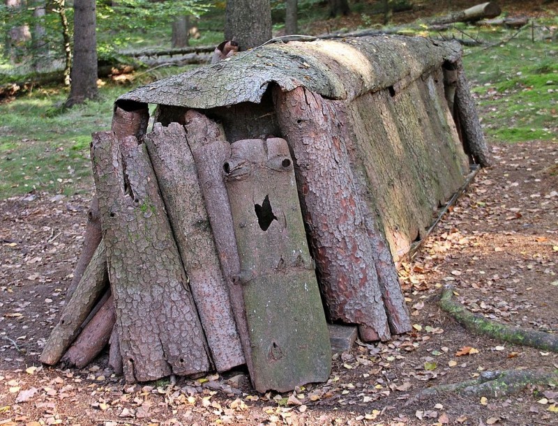 Waldhusche - trocknende Lohrinde