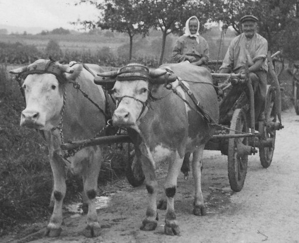 Vor etwa 90 Jahren, Epfenbach, Johann Adam Fischer und Frau. Foto Wikipedia - gemeinfrei